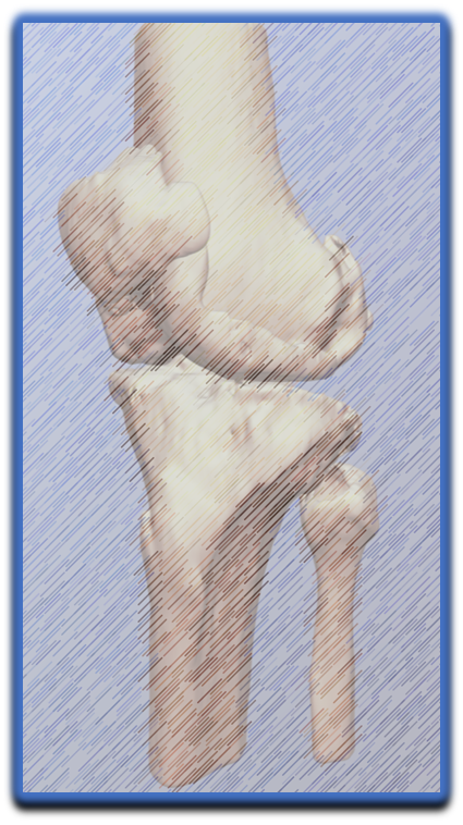 picture6